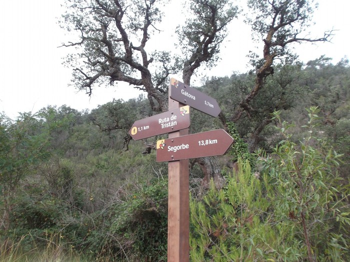 Domingo, día 21. JORNADA SENDERISTA GR 10. ETAPA DE SERRA A GÁTOVA>